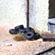 tire heap tire heap